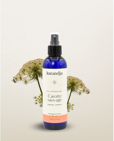 Eau florale bio CAROTTE SAUVAGE