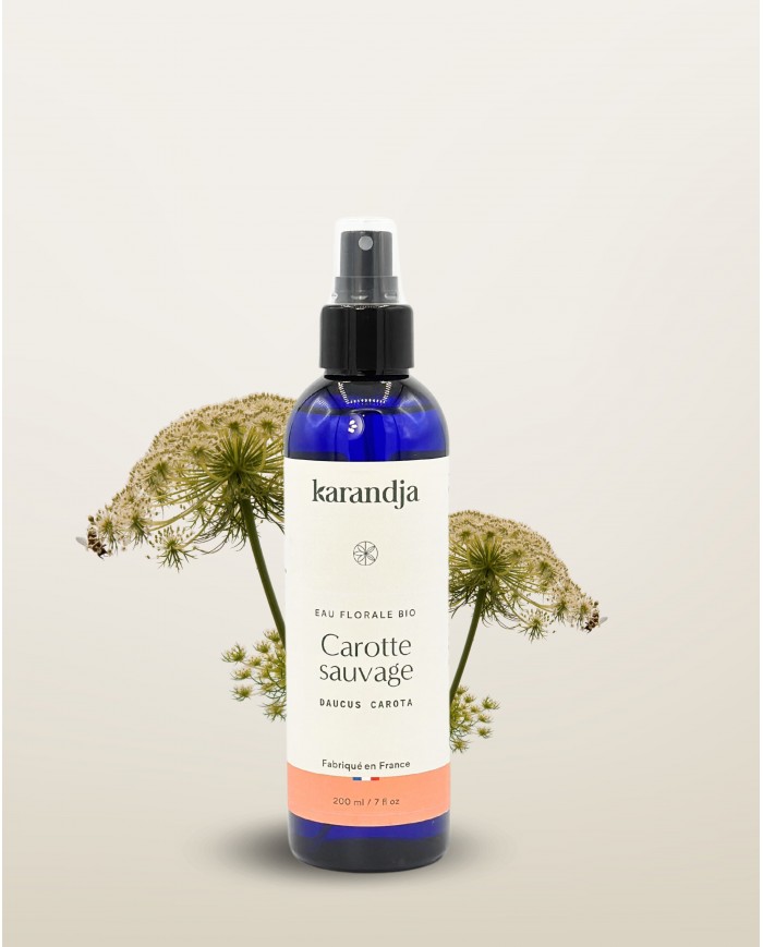 Eau florale bio CAROTTE SAUVAGE
