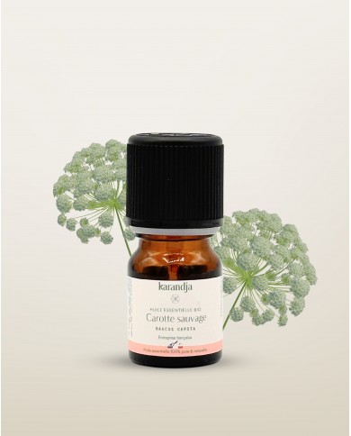 Huile essentielle bio CAROTTE SAUVAGE
