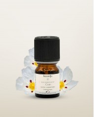 Huile essentielle bio CISTE