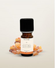 Huile essentielle bio ENCENS OLIBAN