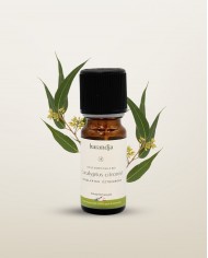 Huile essentielle bio EUCALYPTUS GLOBULUS