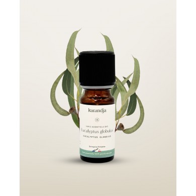 Huile essentielle bio EUCALYPTUS GLOBULUS