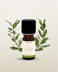 Huile essentielle bio LAVANDE ASPIC