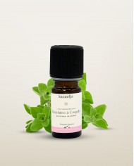 Huile essentielle bio MANUKA