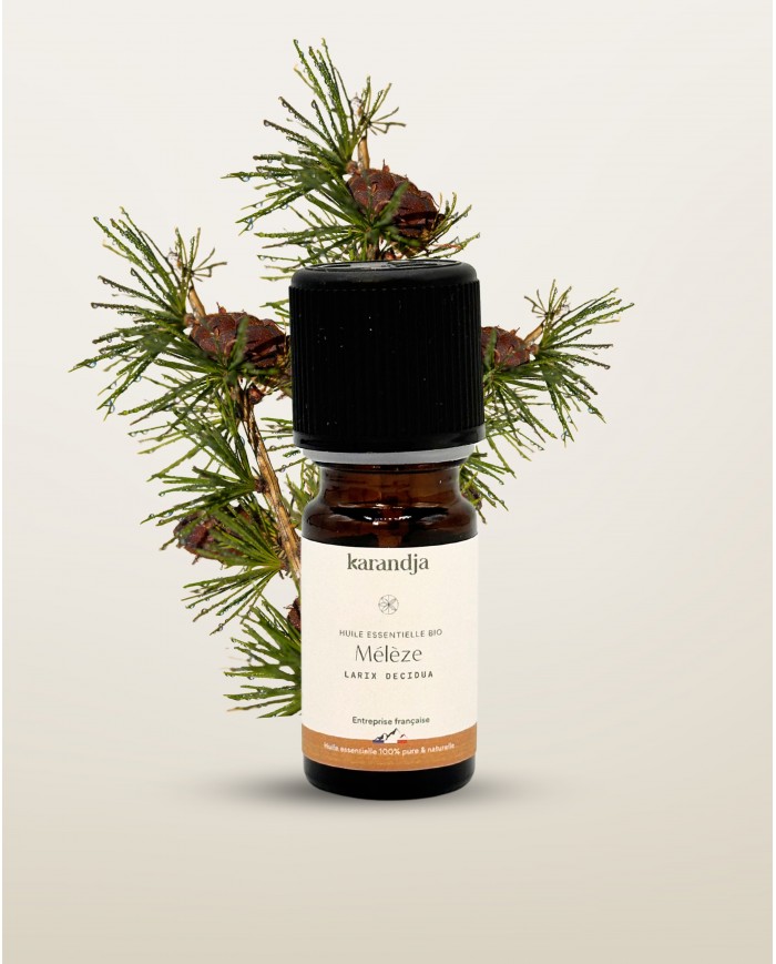 Huile essentielle bio MÉLÈZE