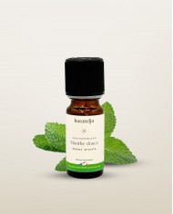 Huile essentielle bio MÉLÈZE