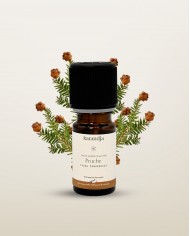 Huile essentielle bio PRUCHE