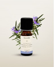 Huile essentielle bio PRUCHE