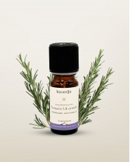 Huile essentielle bio ROMARIN 1,8 CINÉOLE