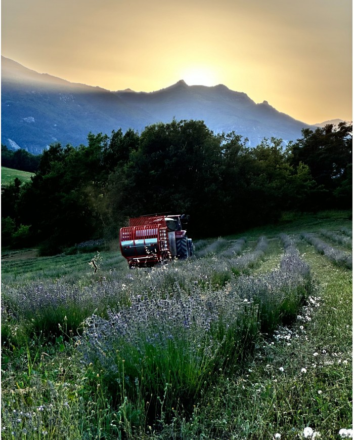 Savon liquide végétal pur olive certifié bio LAVANDE 500ml