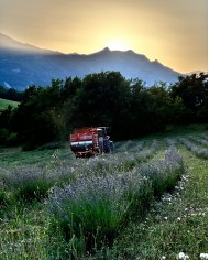 Savon liquide végétal pur olive certifié bio LAVANDE 500ml