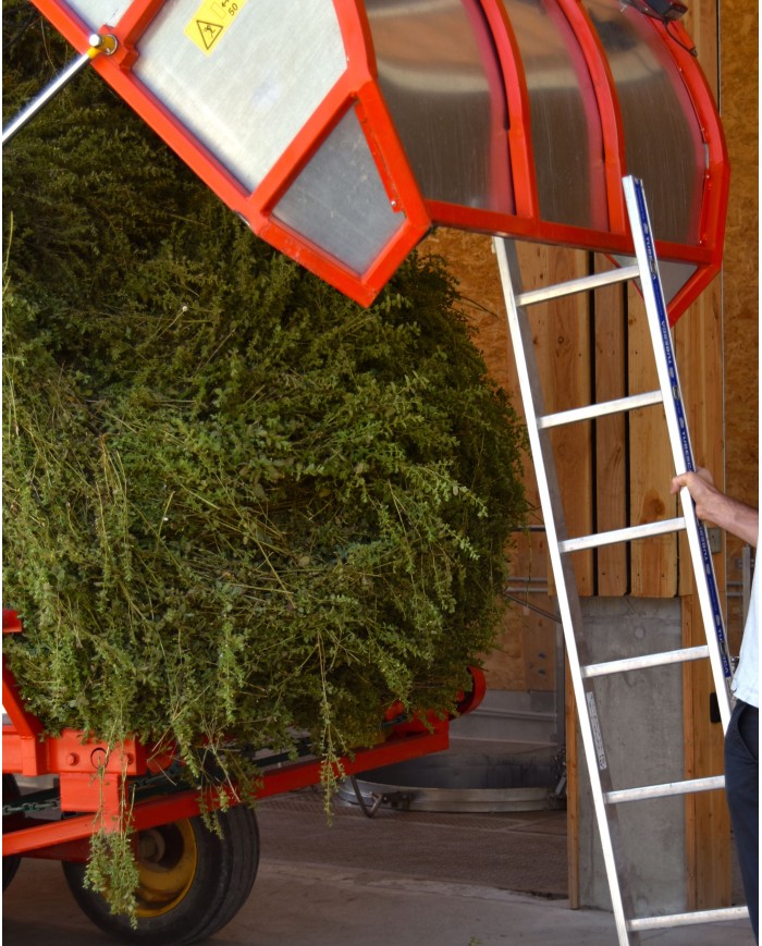 Huile essentielle bio MELISSE