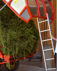 Huile essentielle bio MELISSE