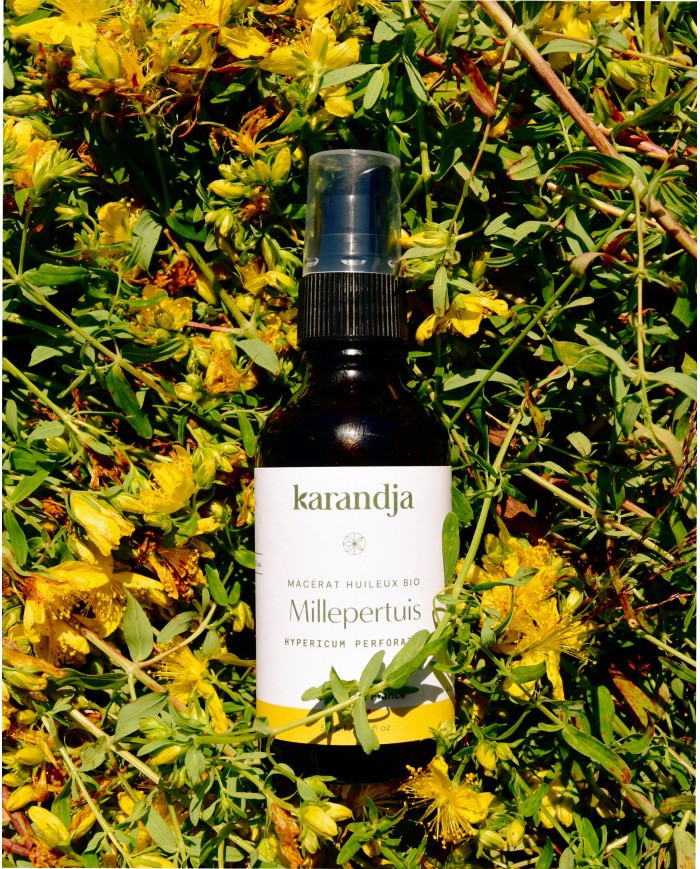 Macérât huileux bio MILLEPERTUIS