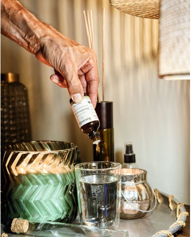 Extrait de Plante Bio ELEUTHEROCOQUE