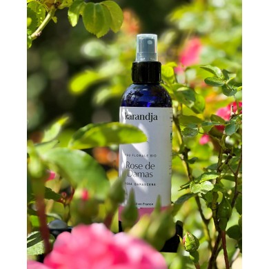 Eau florale bio ROSE DE DAMAS