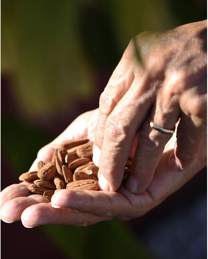 Huile végétale bio AMANDE DOUCE