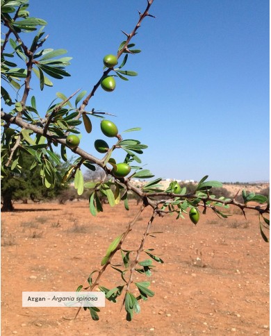 Huile végétale certifiée bio ARGAN