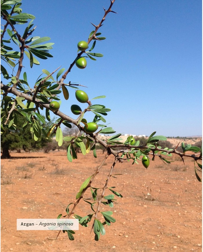Huile végétale certifiée bio ARGAN
