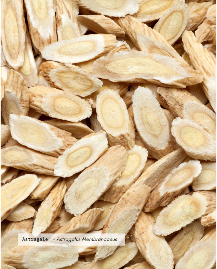 Extrait de plante Bio ASTRAGALE