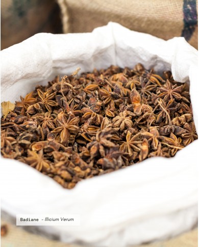 Extrait de plante Bio BADIANE