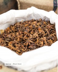 Extrait de plante Bio BADIANE