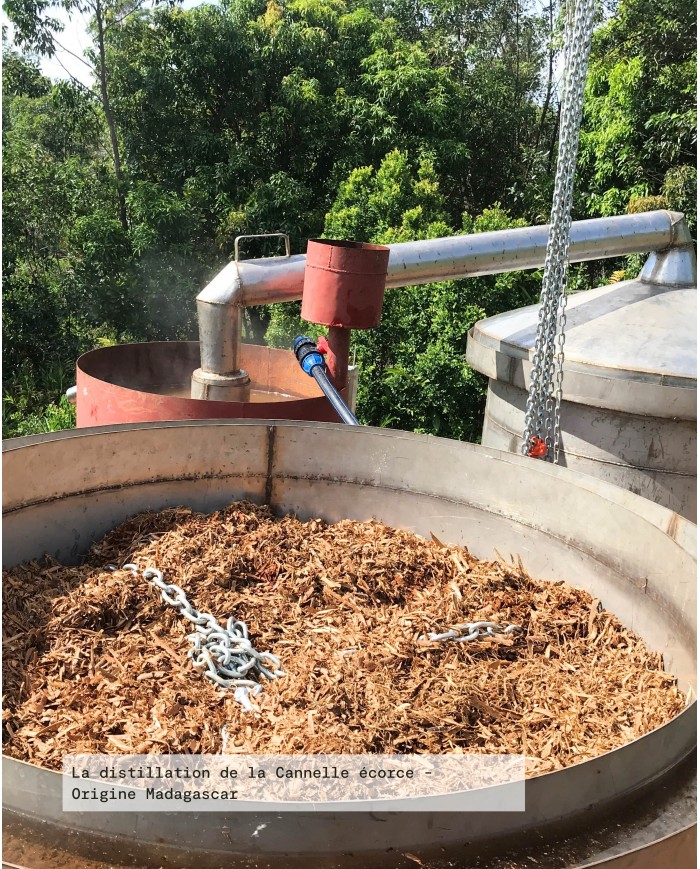 Huile essentielle bio CANNELLE ÉCORCE