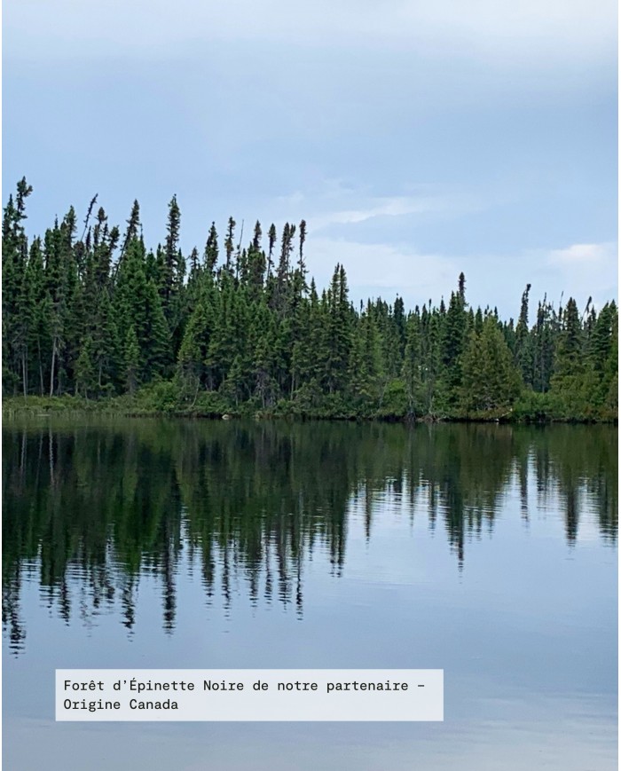 Huile essentielle bio ÉPINETTE NOIRE