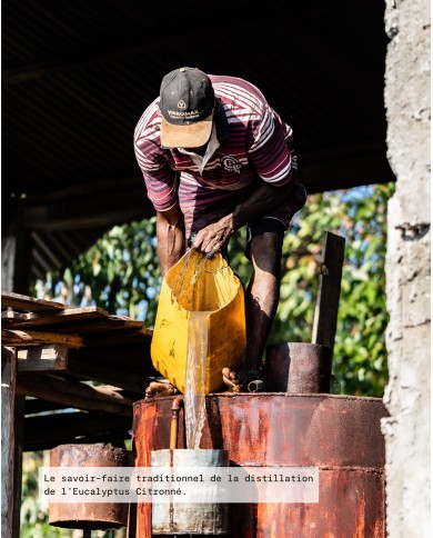 Distillation de l'EUCALYPTUS CITRONNE de notre partenaire à Madagascar, Karandja laboratoire.
