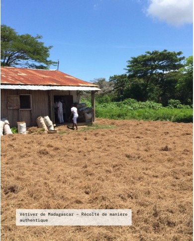 Filière partenaire VETIVER Bio origine Madagascar, Karandja laboratoire.