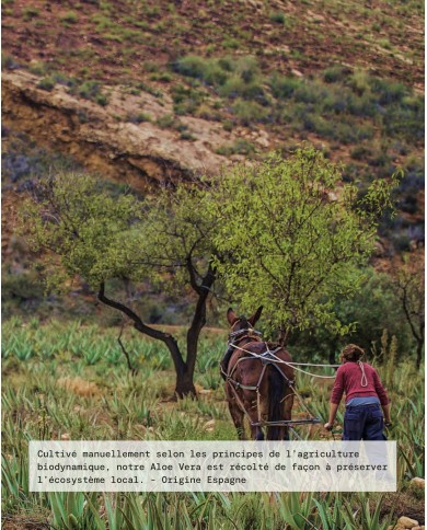 Macérât huileux bio ALOE VERA