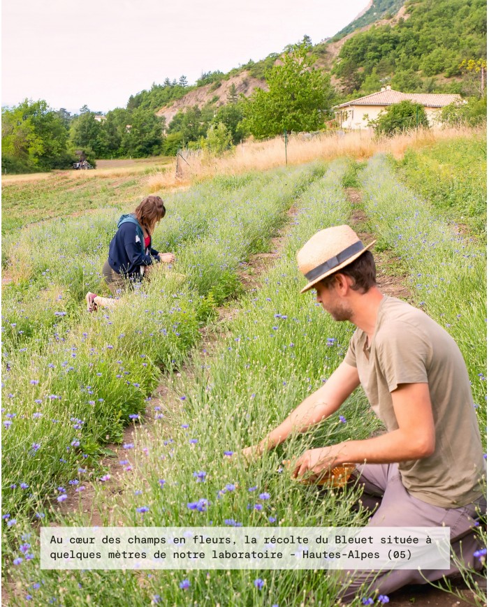 Eau florale bio BLEUET