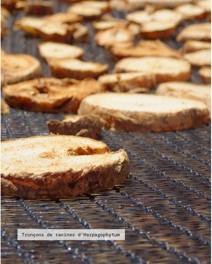 Extrait de Plante Bio HARPAGOPHYTUM