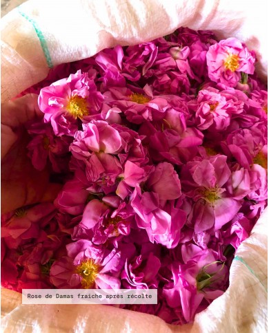 Eau florale bio ROSE DE DAMAS