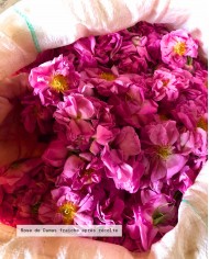 Eau florale bio ROSE DE DAMAS
