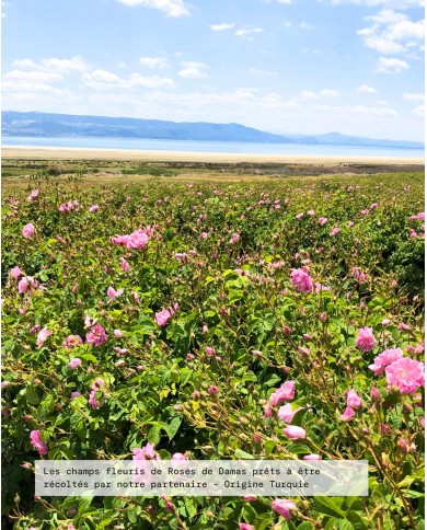 Eau florale bio ROSE DE DAMAS