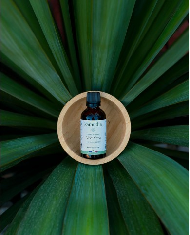 Extrait de Plante Bio ALOE VERA