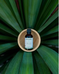 Extrait de Plante Bio ALOE VERA
