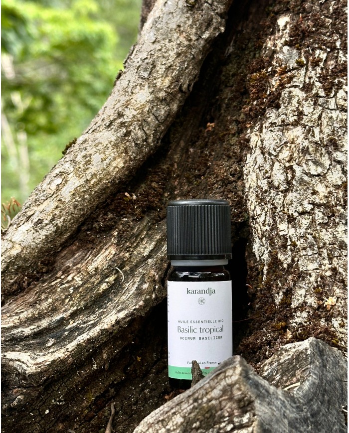 Huile essentielle bio BASILIC TROPICAL