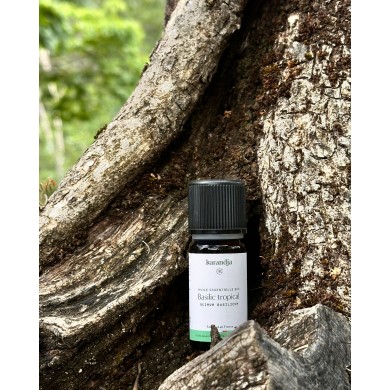 Huile essentielle bio BASILIC TROPICAL