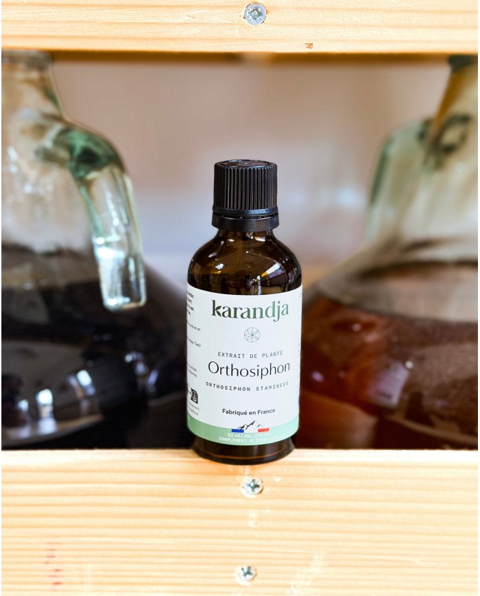 Extrait de plante Bio ORTHOSIPHON