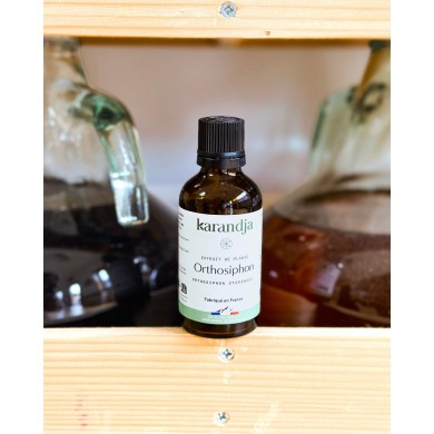 Extrait de plante Bio ORTHOSIPHON
