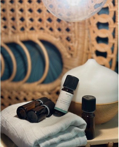 Huile essentielle bio EUCALYPTUS RADIE