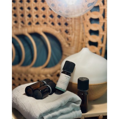 Huile essentielle bio EUCALYPTUS RADIE