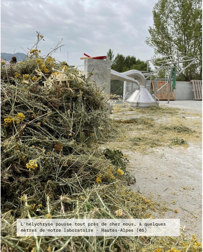 Eau florale bio HELICHRYSE