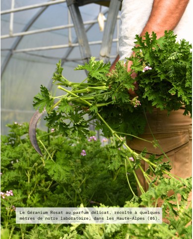 Eau florale bio GERANIUM ROSAT