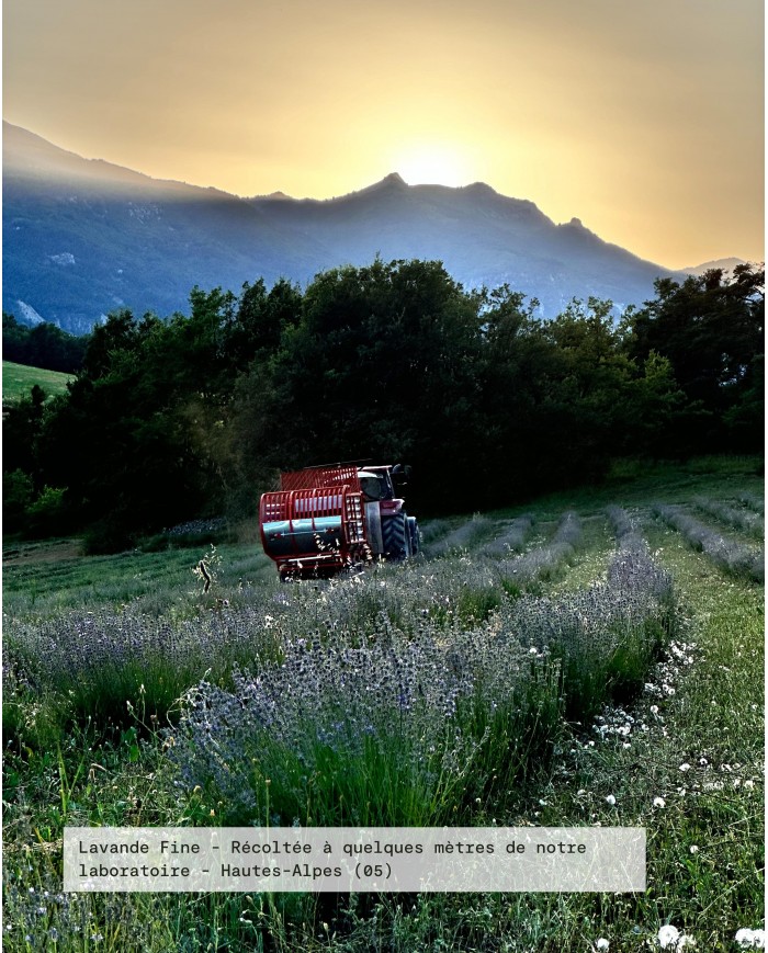 Huile essentielle bio LAVANDE FINE