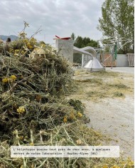 Macérât huileux bio HELICHRYSE