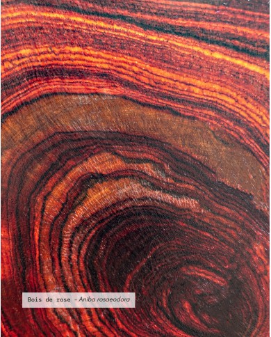 Huile essentielle bio BOIS DE ROSE